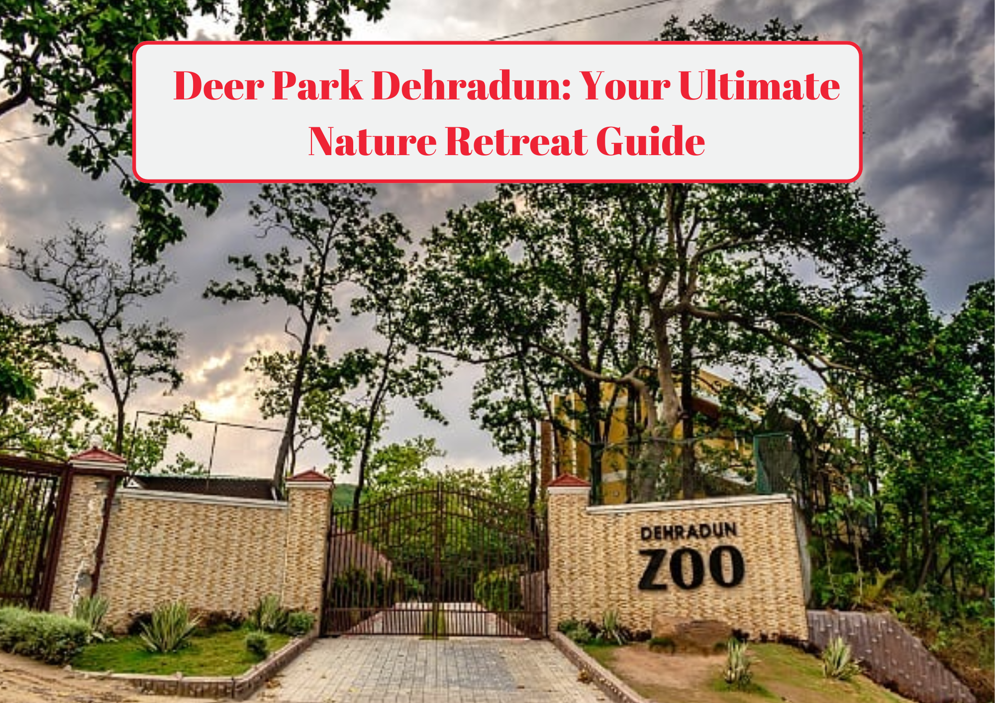 Deer Park Dehradun Your Ultimate Nature Retreat Guide