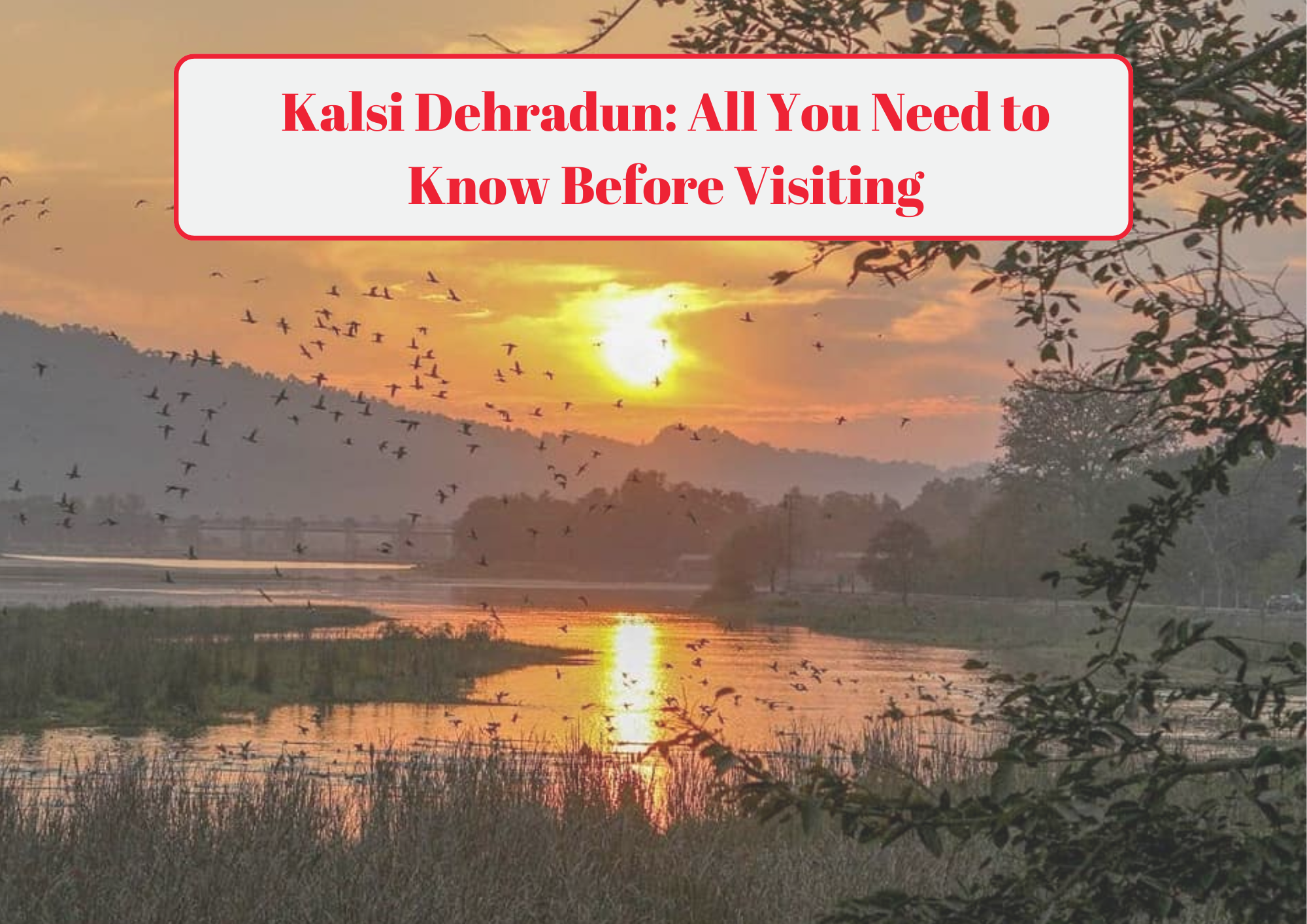 Kalsi Dehradun: All You Need to Know Before Visiting