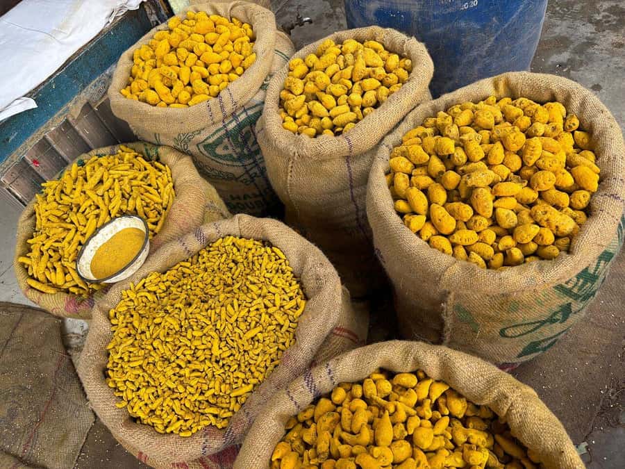Agra: Street Food Tour with Spice Market on Tuk-Tuk Ride - Guides like Amir and Shubham: why the person matters on a street-food tour