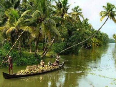 Cochin : Alleppey/Alappuzha Backwater Canoe (Shikara) Cruise - The day schedule: Cochin pickup, transfer, and your 3-hour water time