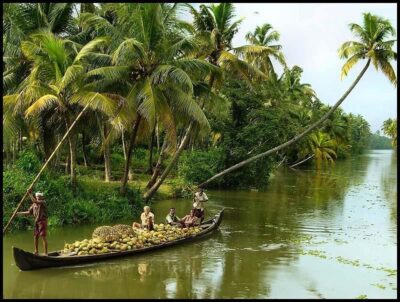 Cochin: Alleppey Backwater Private Day Cruise by Houseboat - Cochin pickup to Alleppey: transfers that keep your day easy