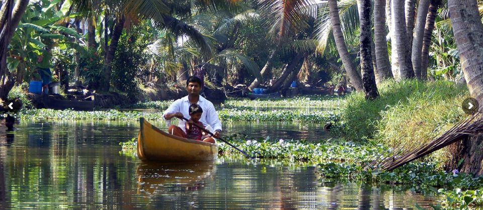 Cochin: Backwater Village Eco Boat Cruise with Lunch - Quick packing and day-of tips