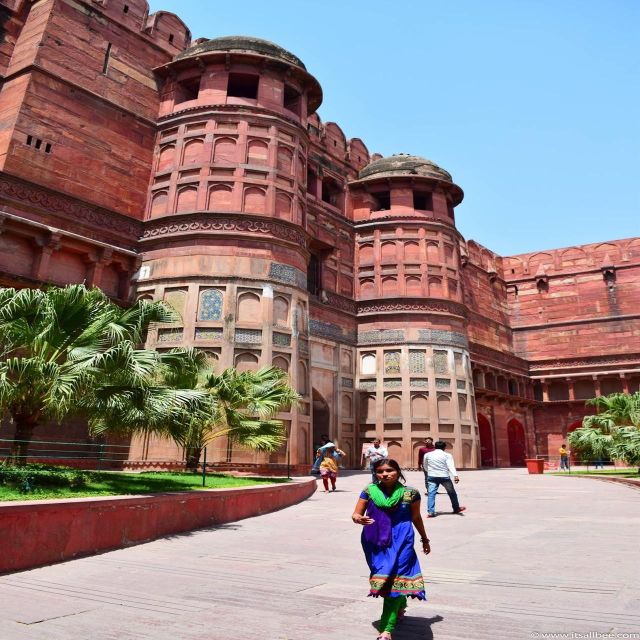 Delhi Agra Jaipur Golden Triangle Multiday Trip with Safari - Private guides and drivers: why this feels easier than DIY