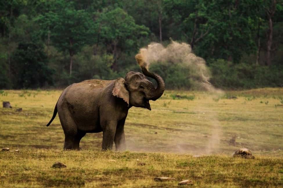 Delhi Agra Jaipur Golden Triangle Multiday Trip with Safari - Day-by-day options: 3, 4, 5, or 7 days