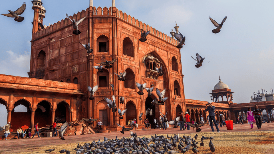 Delhi City Tour: Old, New, or Both – Half & Full Day Options - Key Highlights That Matter