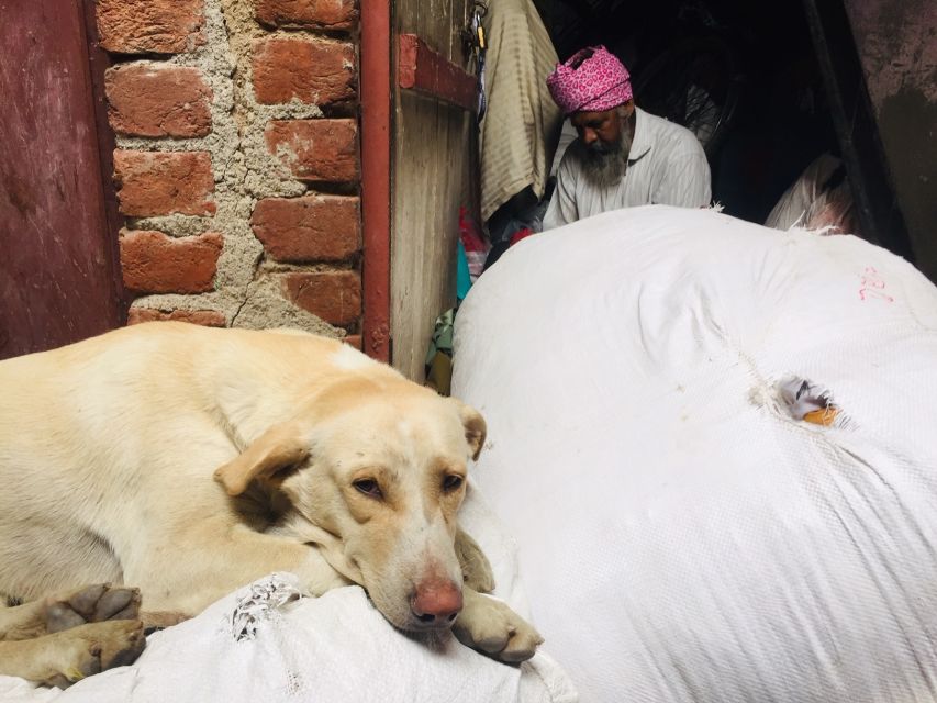 Delhi: Ethical Sanjay Colony Slum Tour - Cost and value: why $18 can feel like a bargain