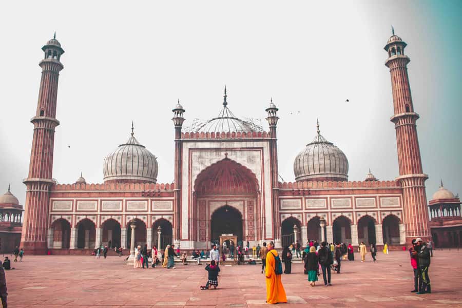 Delhi Highlights: Private Old & New Delhi with Fee Options - Lunch Break: Refuel Before New Delhi’s Monument Run