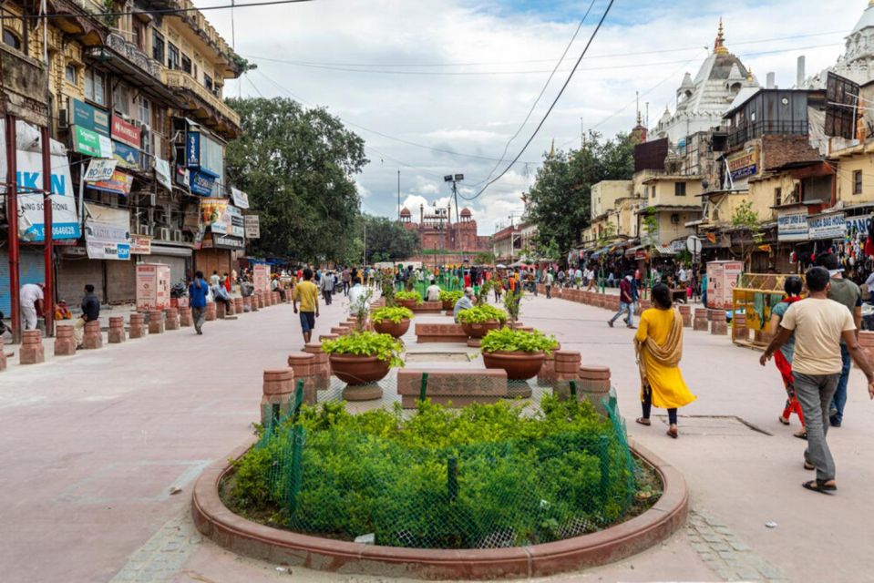 Delhi: Private Old & New Delhi Guided Half- or Full-Day Tour - Price and value: why this can be a smart deal at around $7