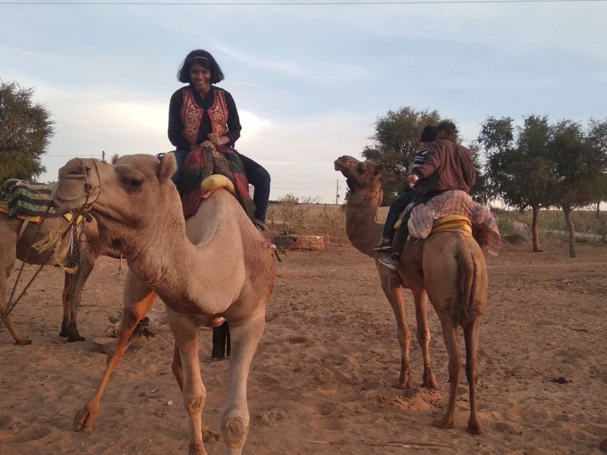 Desert Jeep Safari & Camel Safari Tour From Jodhpur - Key highlights you will actually care about