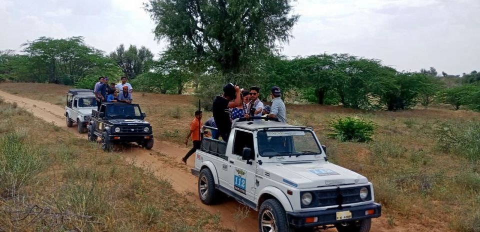 Desert Jeep Safari & Camel Safari Tour From Jodhpur - From Jodhpur to Osian: how the private ride sets the pace