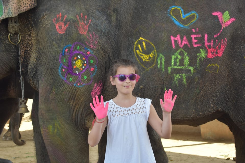 Elefun Best Elephant Sanctuary in Jaipur - Elephant Washing and Shower: A Seasonal Detail You Should Plan For