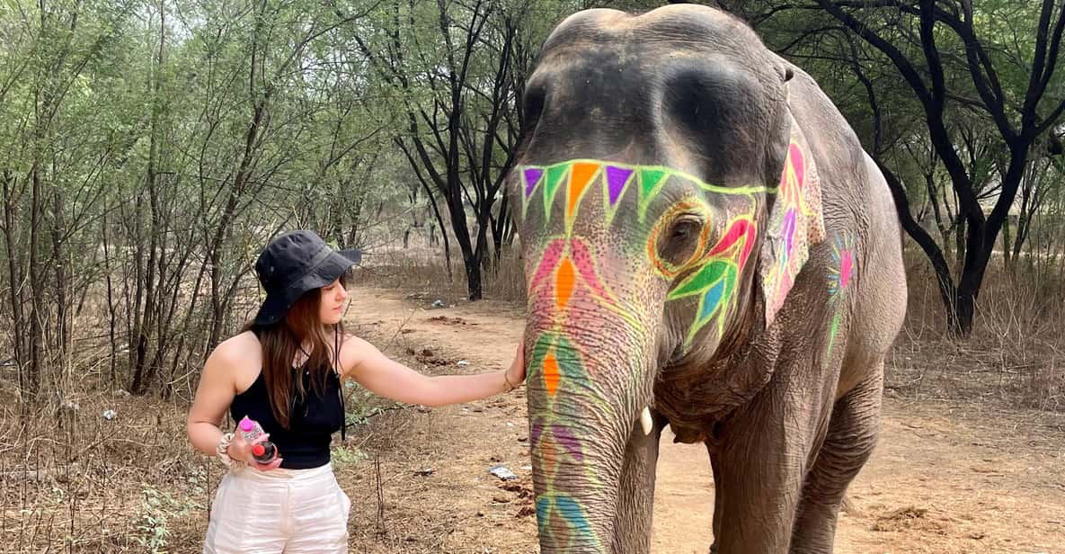 Elefun Best Elephant Sanctuary in Jaipur - 3 Hours of Elephant Time: From Pickup to Drop-Off