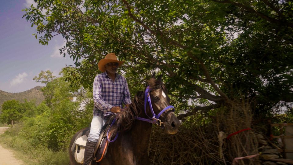 Equestrian Escape: Horse Safari Adventure - Horse Safari in Rajasthan: Why This Ranch Visit Feels Real