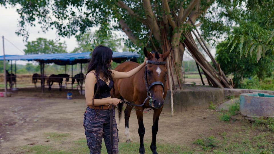 Equestrian Escape: Horse Safari Adventure - Riding Lessons That Start With Trust, Not Toughness