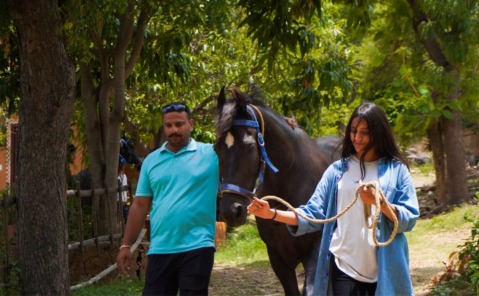 Equestrian Escape: Horse Safari Adventure - The Off-the-Radar Ride Near Udaipur Countryside
