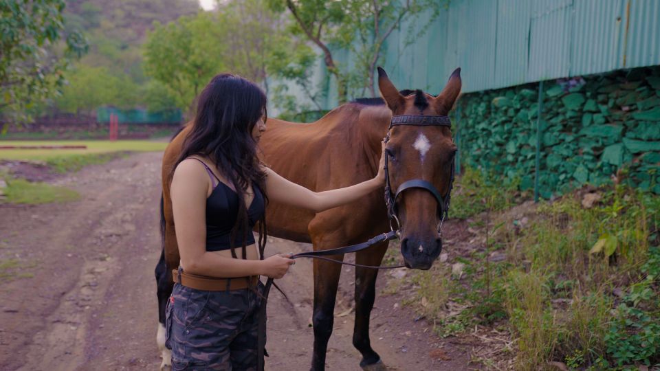 Equestrian Escape: Horse Safari Adventure - Learning About Maharana Pratap’s Horse