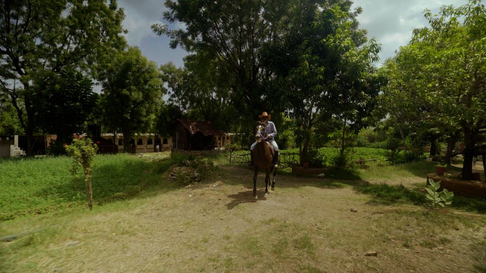 Equestrian Escape: Horse Safari Adventure - Price and Value: Is $104 Worth It for Two Hours?
