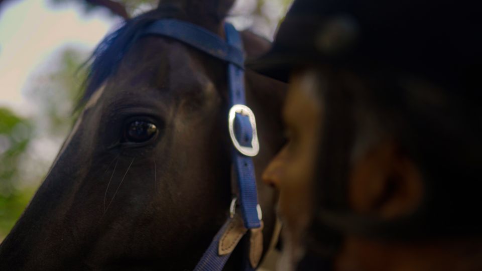 Equestrian Escape: Horse Safari Adventure - Practical Tips So the Ride Feels Smooth