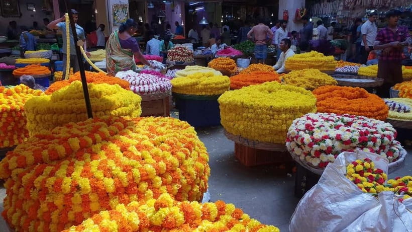 Experience Bangalore - Evening City Walk Tour & Market Visit - Vidhan Soudha: the 30-minute walk that frames the evening