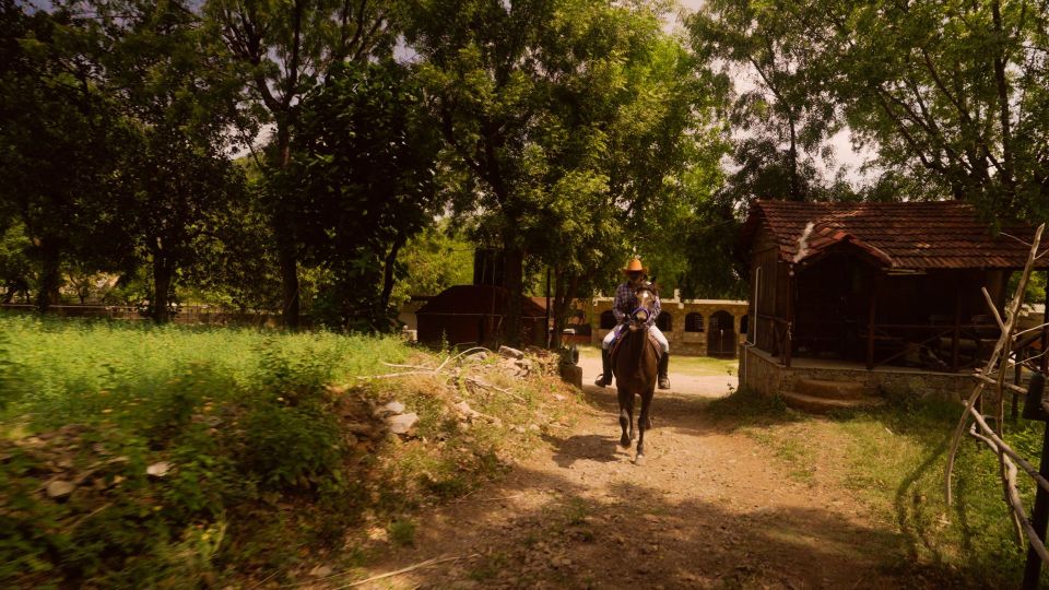 Farm to Table: With a local farmer family - Price and Logistics: Getting There Without Losing Your Evening