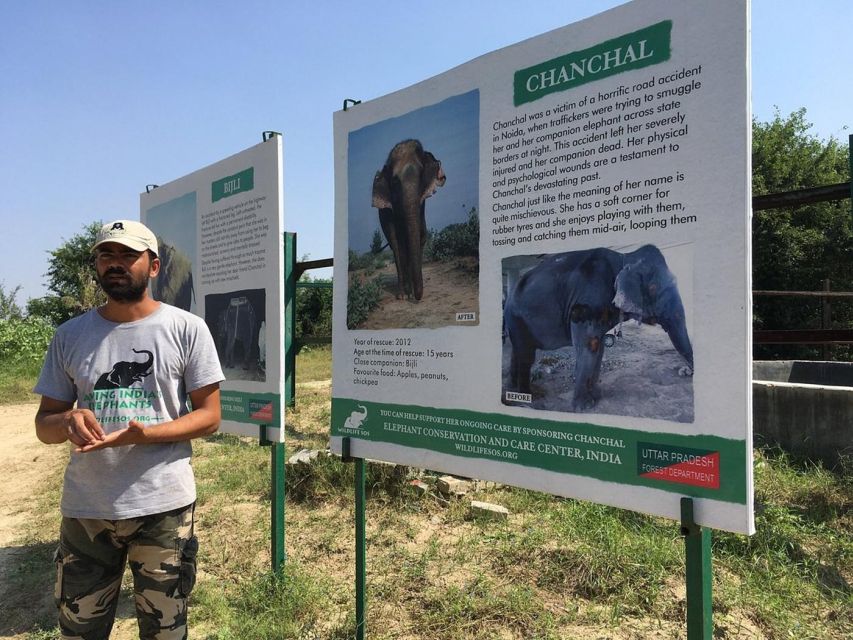 From Agra: Visit to Wildlife SOS Elephant Conservation Trip - Quick take: best parts to plan around