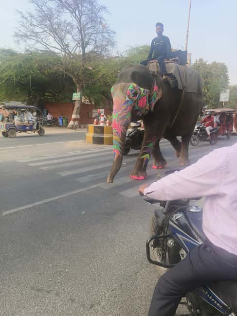 From Delhi: 3 Days Golden Triangle Tour - Should You Book This Delhi-to-Golden-Triangle Tour?