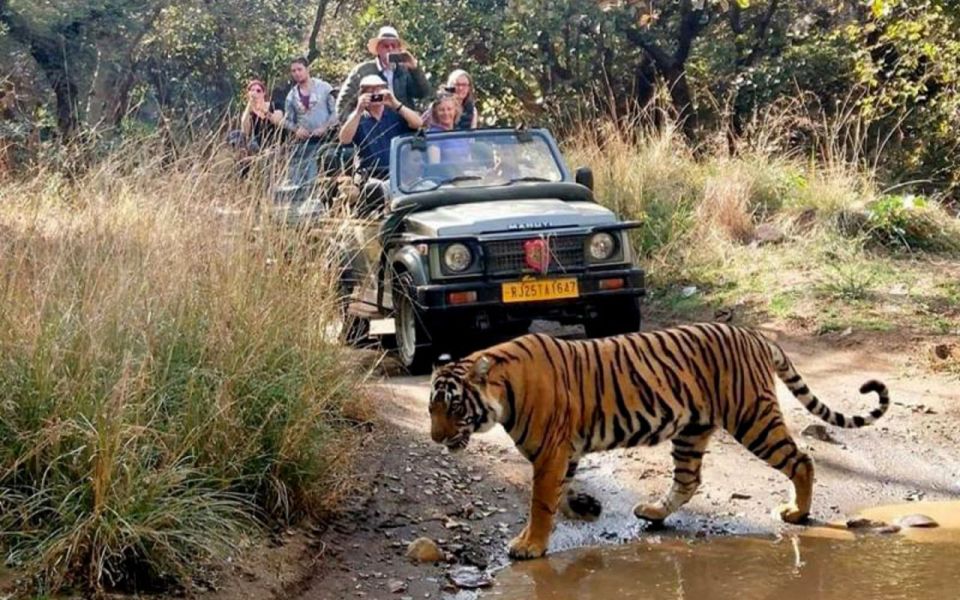 From Delhi: 6-Day Golden Triangle Tour with Ranthambore - Delhi to Agra: Old Delhi lanes, New Delhi icons, then a fast change of scenery