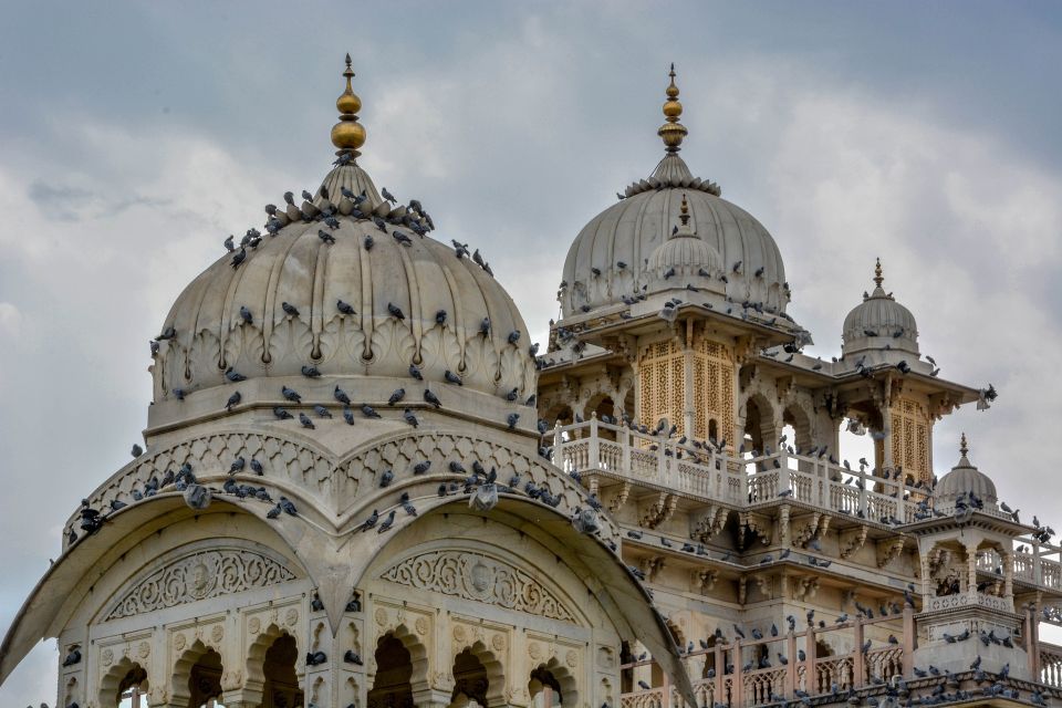 From Delhi: Jaipur Day Trip by Fast Train or Private Car - Panna Meena Ka Kund and Monkey Temple for photos and variety