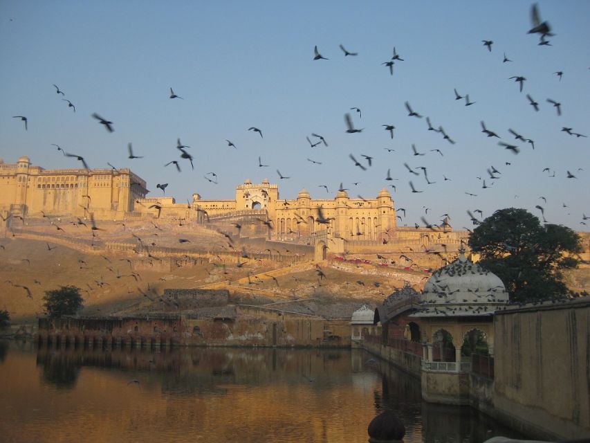 From Delhi: Private Jaipur & Amber Fort Guided Tour by Car - How the Day Works: Timing, Comfort, and Energy
