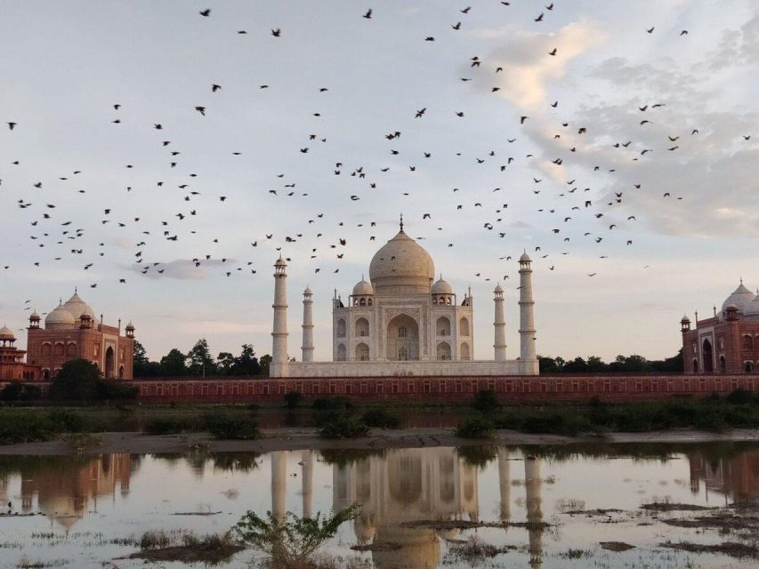 From Delhi: Taj Mahal & Agra Day Tour with Fatehpur Sikri - Guides in action: the difference between seeing and understanding
