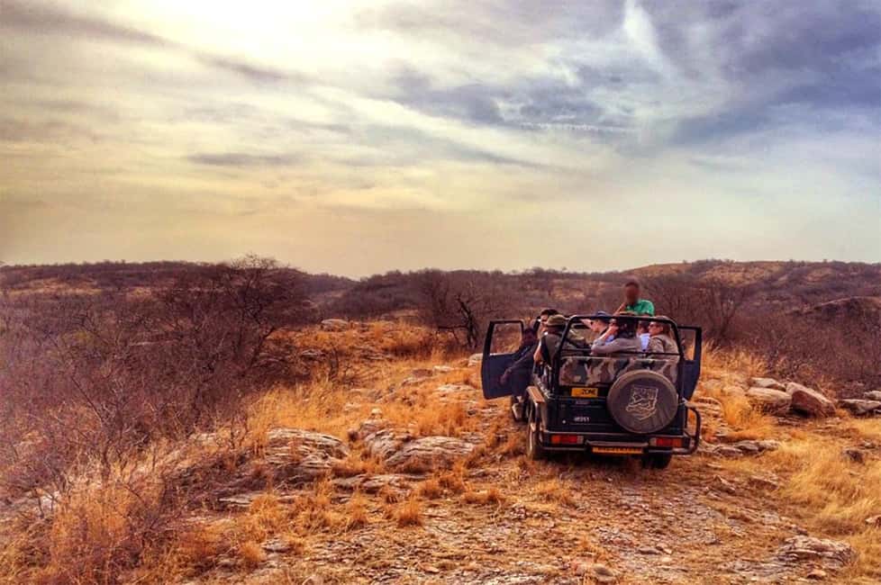 From Jaipur: Praivte Ranthambore Tour By Jeep Canter Safari - Key points worth knowing before you go