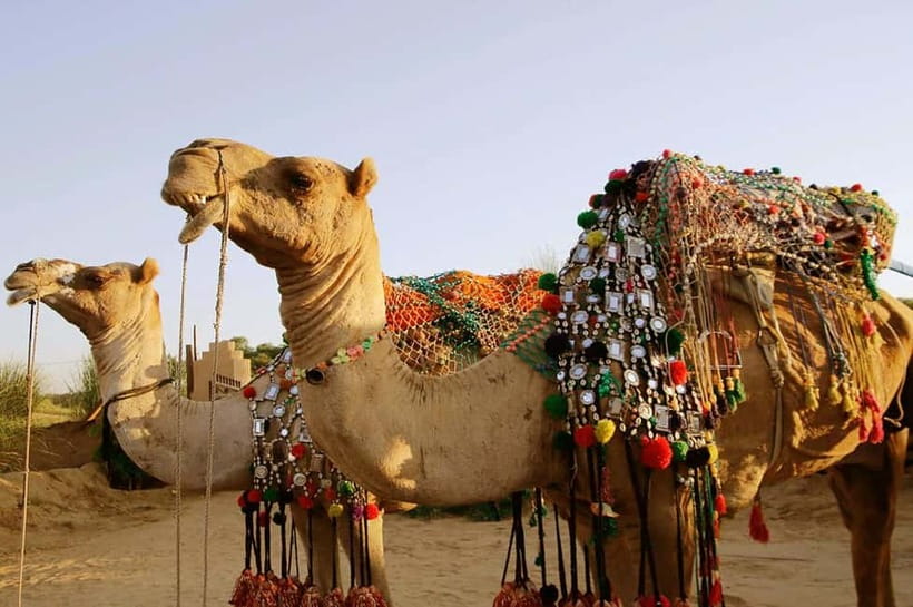 From Jaipur : Private Ajmer Pushkar Tour by Cab - Practical Tips: Cash, Respect, and Avoiding Money Pressure