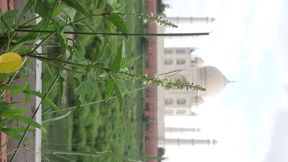 From Jaipur: Private Taj Mahal Sunrise & Agra Fort Tour - Agra Fort right after: how the mood shift makes the day better