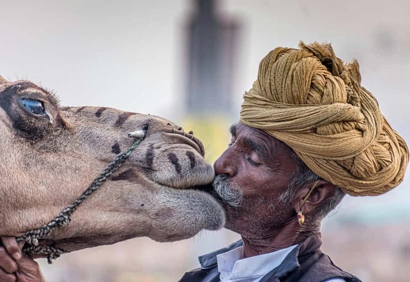 From Jaipur: Pushkar and Ajmer Private Day Trip - Key things to know before you go