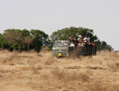 From Jaipur: Ranthambore Tour with Cab - The road to Sawai Madhopur: 3–4 hours of scenery and anticipation