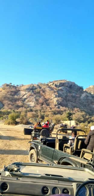 From Jaipur: Sariska National Park Day trip with Safari - Tiger sightings are never promised: plan for a “best effort” safari