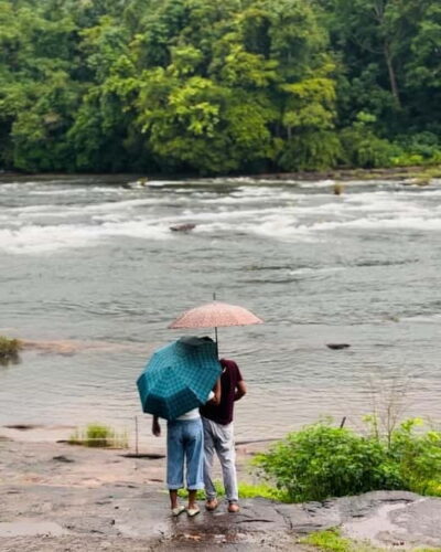 From Kochi: Athirappilly Waterfalls Day Trip with Transfers - Getting There: A Real Kochi Escape (Without the Headache)