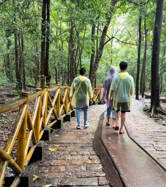 From Kochi: Athirappilly Waterfalls Day Trip with Transfers - Time on the Ground: How the Day Actually Feels