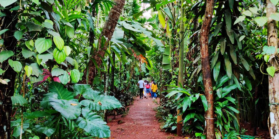 Goa: Private Full-Day Sightseeing Highlights Tour - Price and value: is $71 a fair deal for 8 hours?