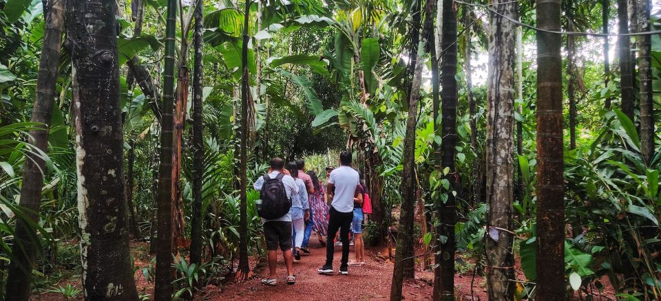 Goa: Spice Plantation Tour and Traditional Local Lunch - Should You Book This Spice Plantation Tour in Goa?