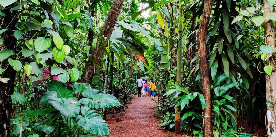 Goa: Spice Plantation Tour and Traditional Local Lunch - Optional Temple Stop and Spice Shop Time on the Way Back