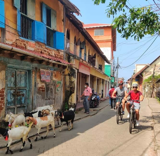 Good Morning Kochi Bicycle Tour - Mattancherry’s Jewish Quarter area and the spice warehouse streets