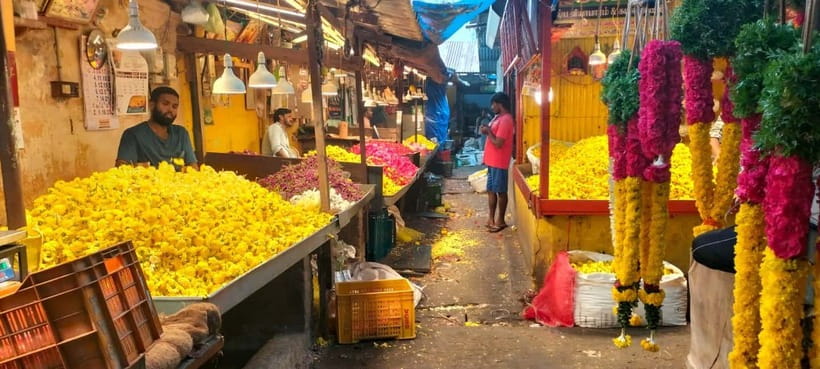 Indian Cooking & Market Tour in Pondicherry with Manisha Ray - Key highlights worth planning for