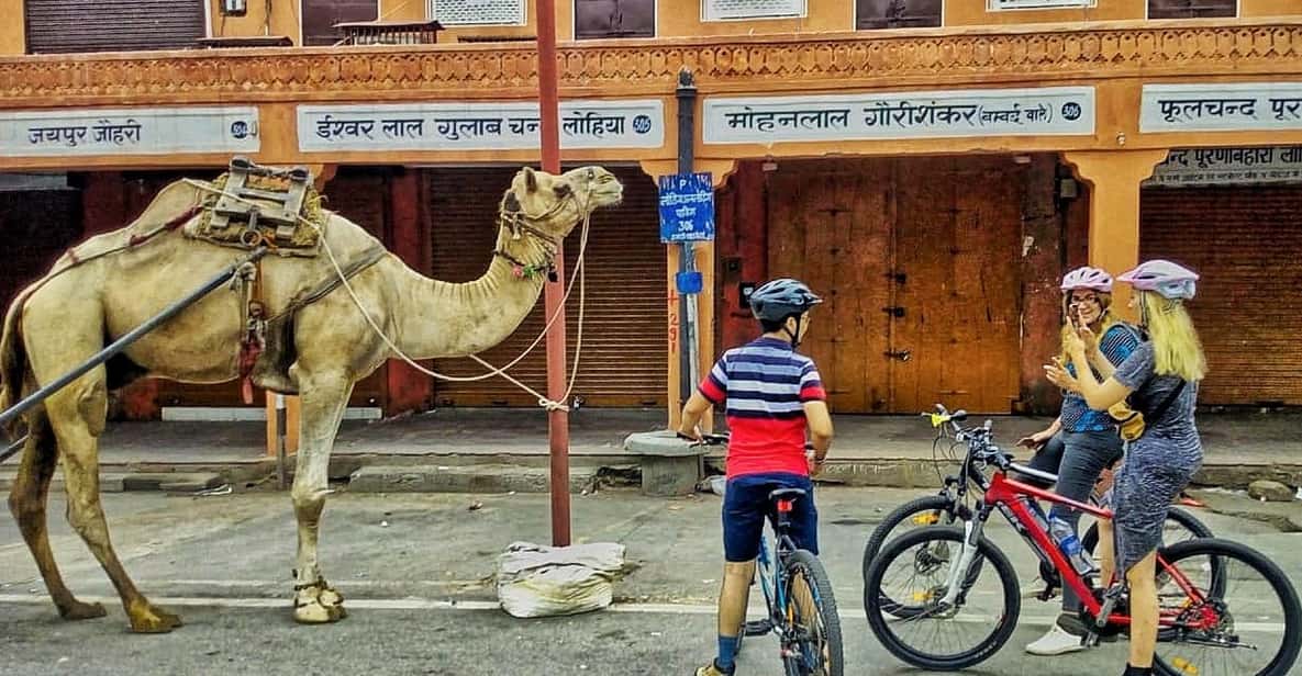 Jaipur: 3-Hour Morning Bike Tour of Jaipur Old City - Albert Hall Area in the Morning: A Calm Pause in Public Life