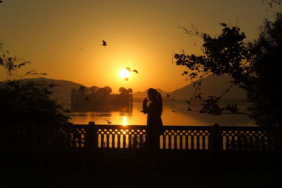 Jaipur Amer Fort, Jal Mahal & Stepwell Private Half-Day Tour - Price and logistics: what $53 covers and what to plan for