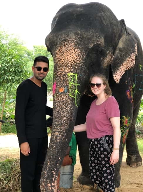 Jaipur: Elephant Interaction Tour - Walking with elephants in the village (no riding): what you should expect