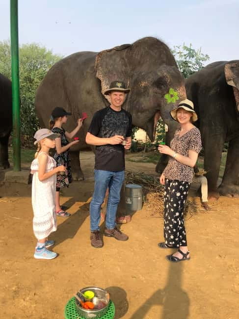 Jaipur: Elephant Interaction Tour - Elephant washing and shower: late-day splash with strict lake rules