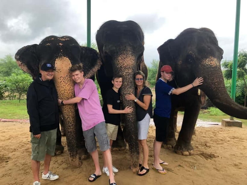 Jaipur: Elephant Interaction Tour - Price and value at about $58: what’s included (and why that helps)