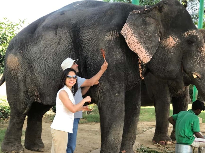 Jaipur: Elephant Interaction Tour - Comfort, safety, and what to pack for a muddy, watery day