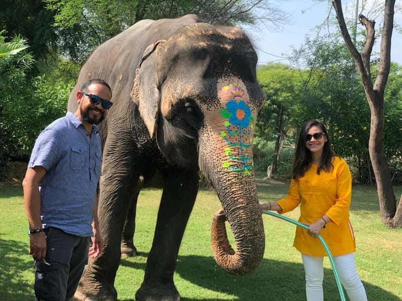 Jaipur: Elephant Interaction Tour - Feeding elephants: the easiest trust-builder with real teaching built in